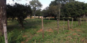 Unser Grundstück in Paraguay am Anfang