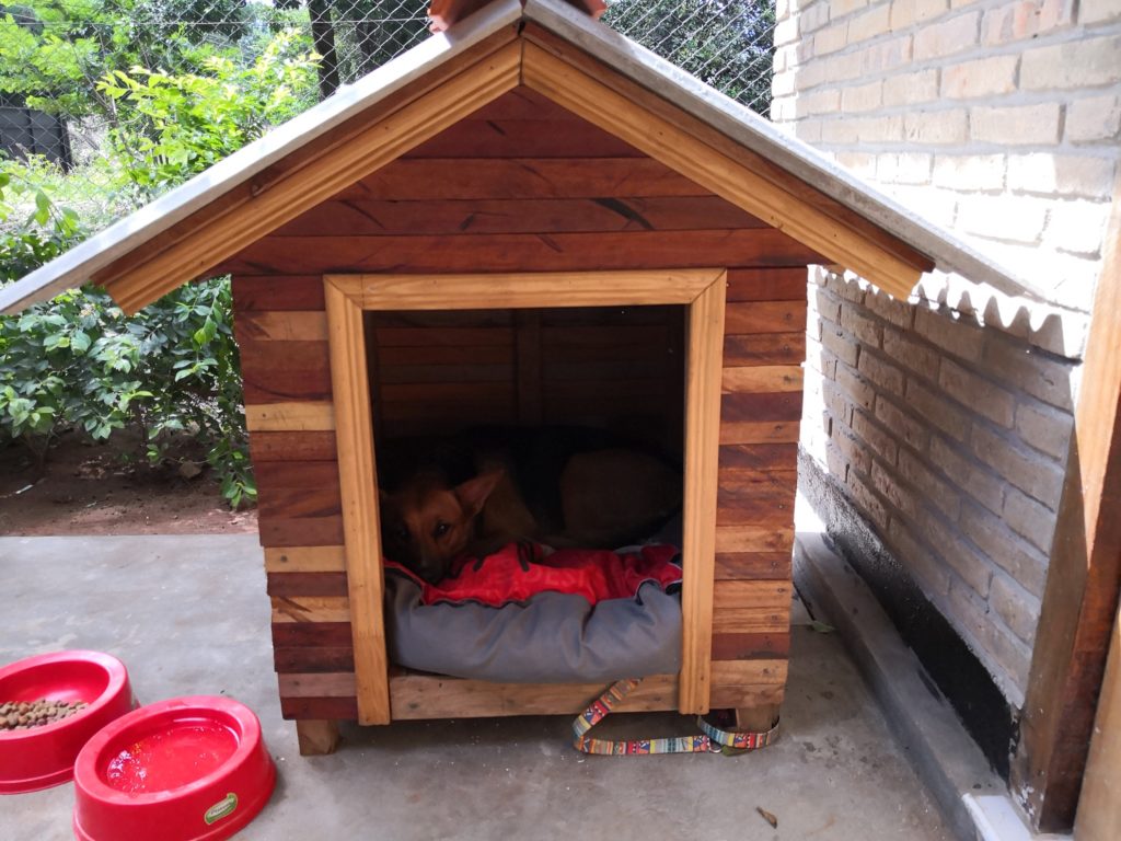 Hundehütte besorgt: Wohnen auf Probe in Paraguay