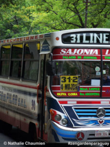 Ein typischer Bus in Asuncion