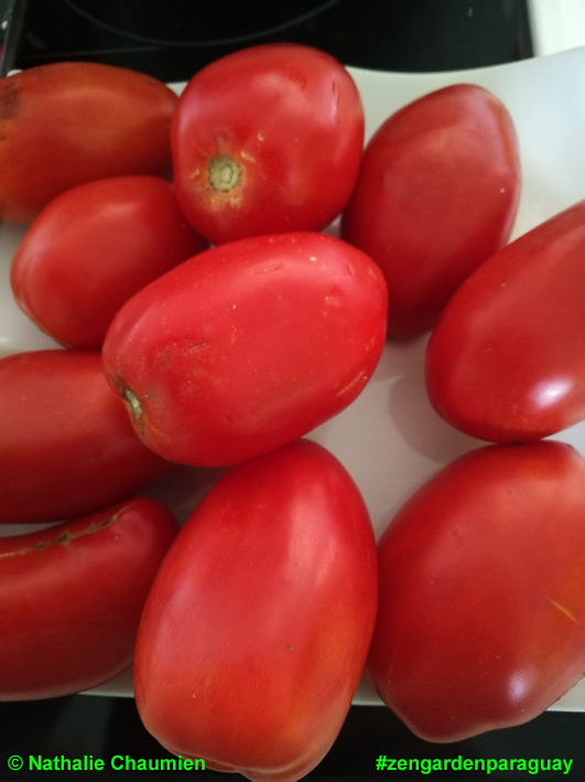Tomaten Bestellservice Paraguay