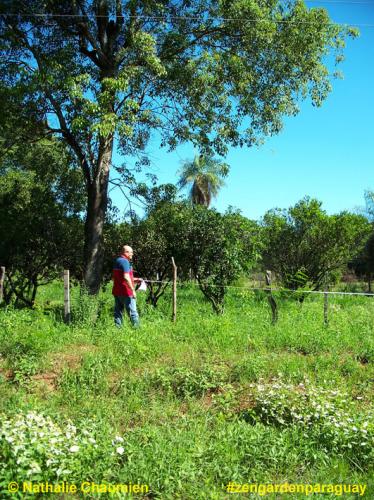 Gregorio mißt die Länge aus