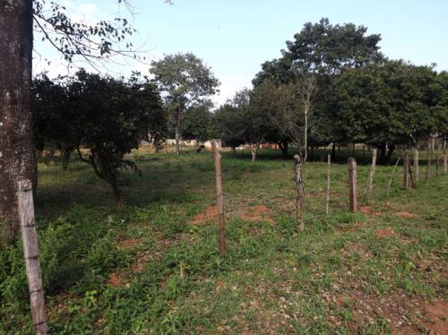 Unser Grundstück in Paraguay am Anfang