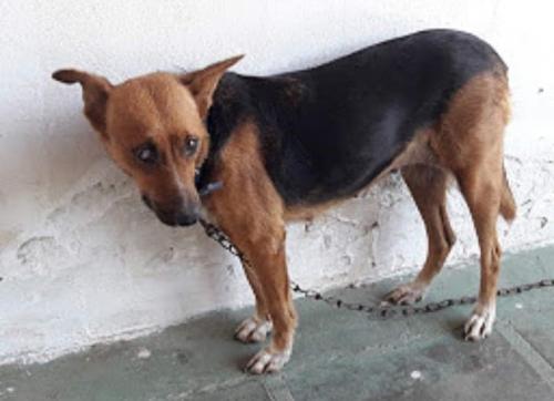 Lucia Zuhause in Paraguay