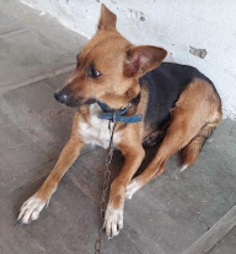 Lucia Zen Garden Zuhause in Paraguay Januar