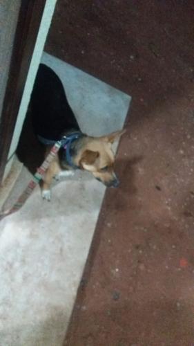 Oh so sieht das hier also aus