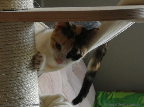 Sunny meint das ist viel zu kurz