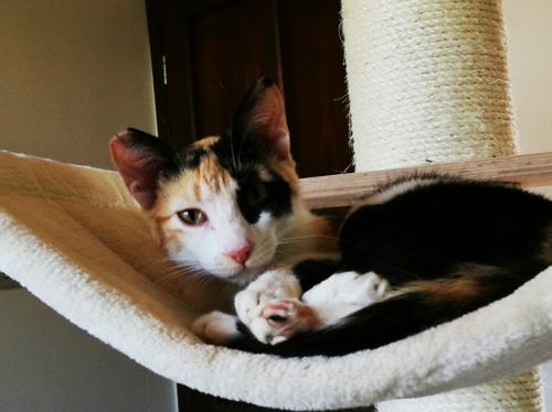 Sunny: "muss das jetzt sein?"