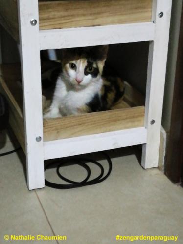 Sunny räumt sich auf