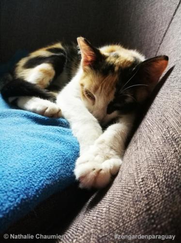 Sunny ist jung und oft sehr müde