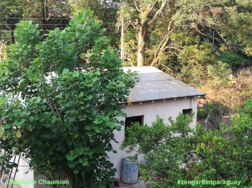 das Haus - Verwalter in Paraguay