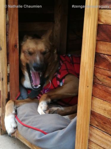 müde Lucia - narices frias in Paraguay